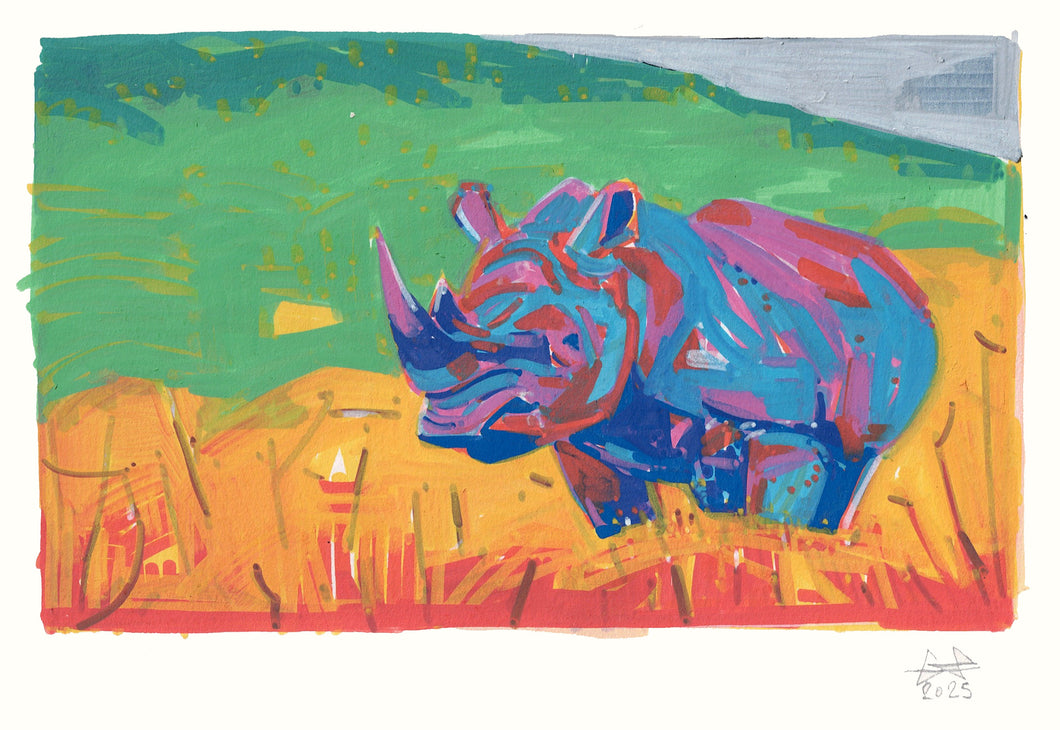 Rhinoceros Study