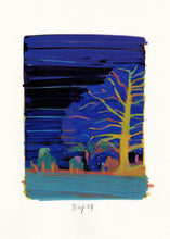 Nocturnal Luminescence