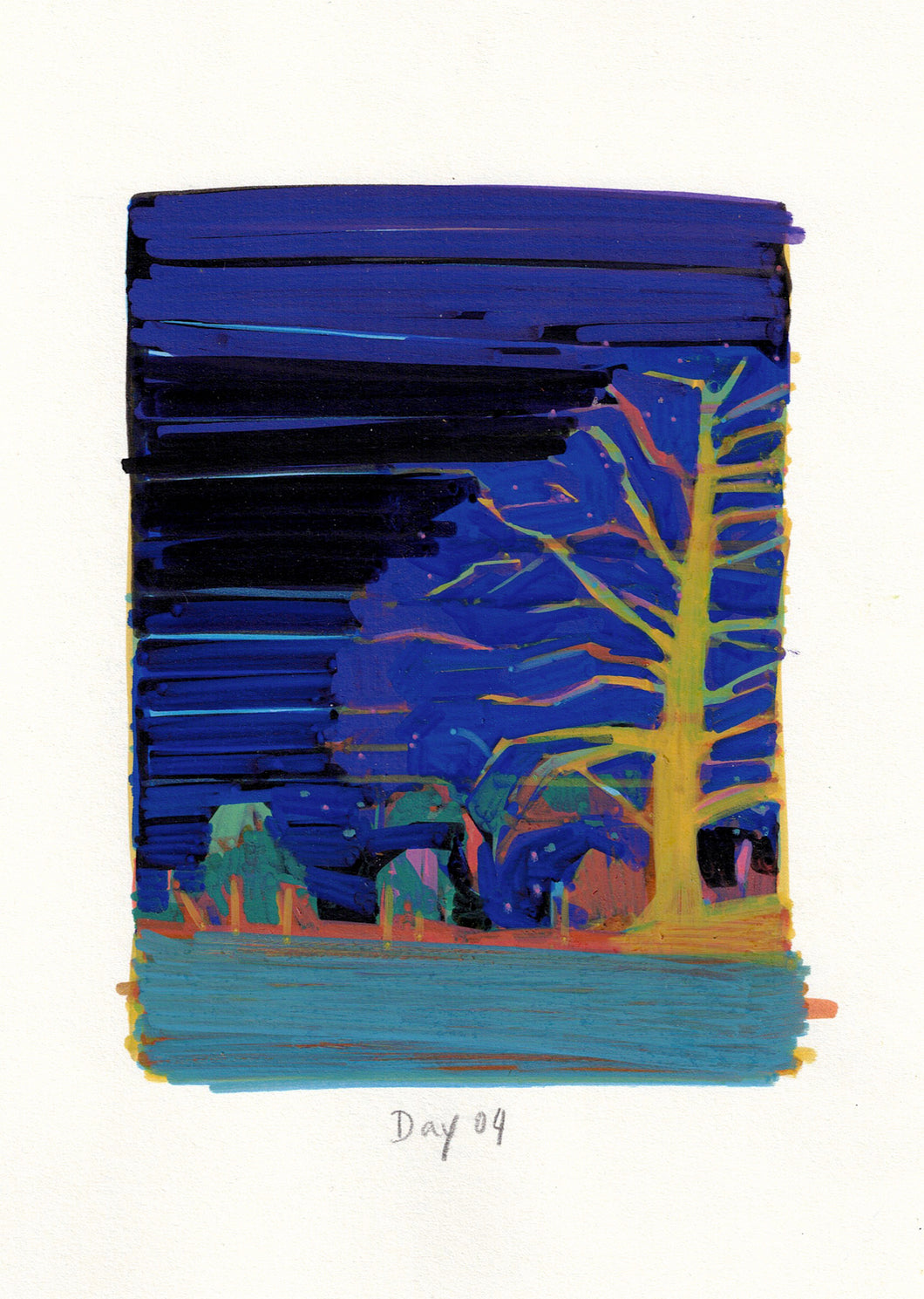 Nocturnal Luminescence