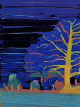 Nocturnal Luminescence