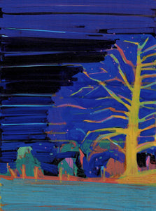 Nocturnal Luminescence